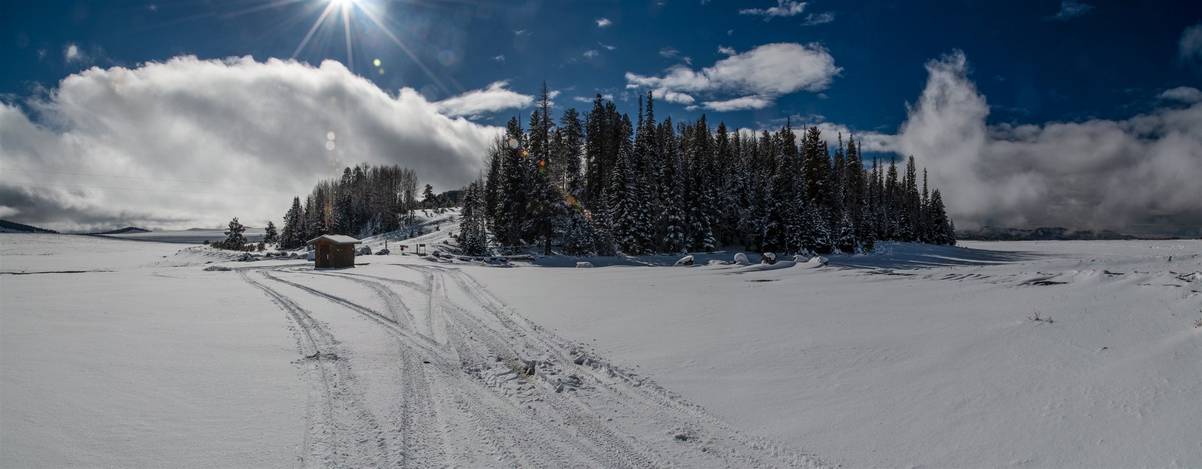 Snow-covered meadow and ponderosa pine forest in the Apache National Forest, White Mountains, Arizona (USDA Forest Service photo)