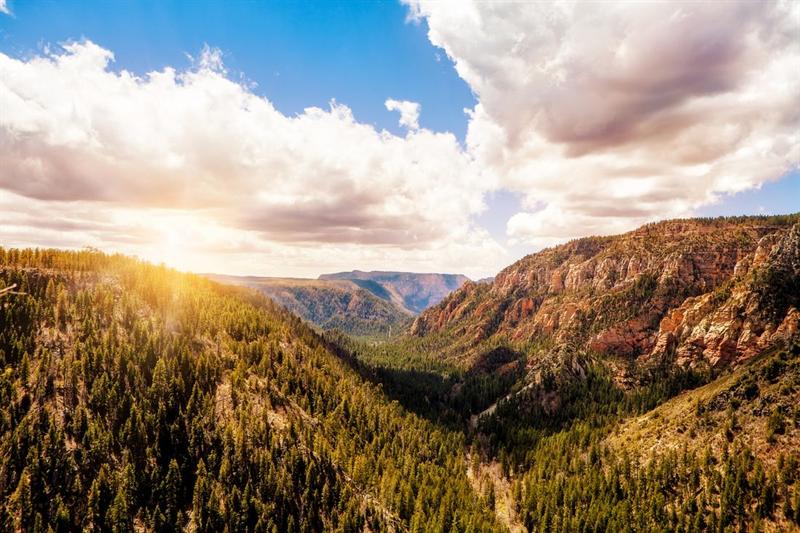Oak Creek Canyon overlook at sunrise near Sedona